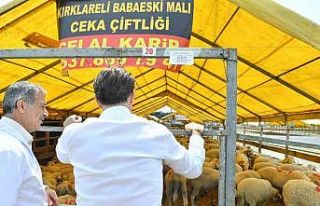 Bahçelievler Belediyesi Kurban Bayramı hazırlıklarını...
