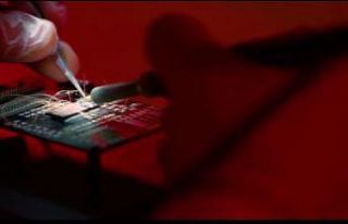 Bahis çetesinin 8 milyon liralık hacmi deşifre...