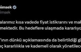 Bakan Şimşek: “(İstikrar) Süreç kararlılıkla...