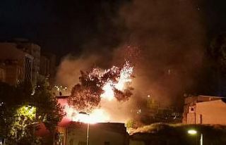 Bandırma’da otluk alanda çıkan yangın korkuttu