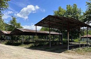 Bartın’da şap hastalığı nedeniyle hayvan pazarları...