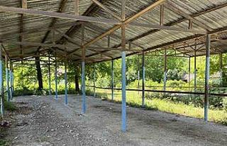 Bartın’ın Buğurlar köyünde şap hastalığı...