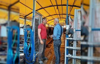 Başkan Altıkulaç: "İstanbul’a sevk edilen...