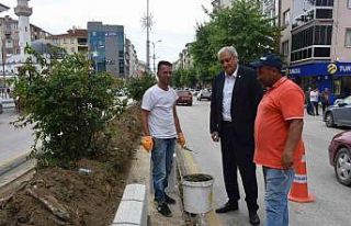 Başkan Bakkalcıoğlu çalışmaları inceledi