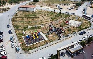 Başkan Bozdoğan: "4 yılda 50 tane koruluk...