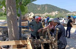 Başkan Şahin kurban pazarında incelemelerde bulundu