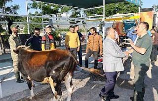 Başkan Yalçın, vatandaşın bayram sevincine ortak...
