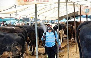 Bayraklı Belediyesi Kurban Bayramı’na hazır