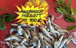 Bayram öncesi balık tezgahlarında son durum