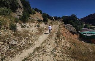 Bayram sabahı kaçan kurbanını bulmak için 3 gündür...