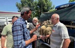 Bayrama sayılı günler kala kurban pazarlarında...