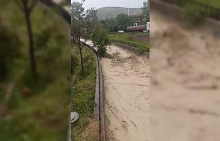 Beypazarı’nda İnözü Deresi taştı: Ağaçları...