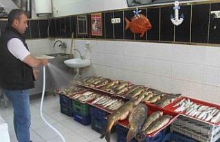 Beyşehir Gölü’nde av sezonu açıldı, balıklar...