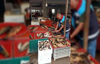 Beyşehir’de balık boy denetimleri