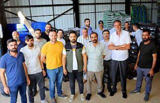 Bingöl’de 170 bin adet çilek fidesi dağıtıldı