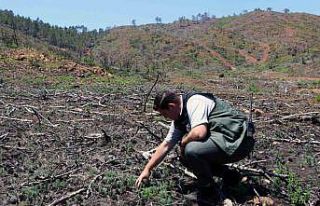 Bir yıl önce alevlerin yuttuğu Bördübet küllerinden...