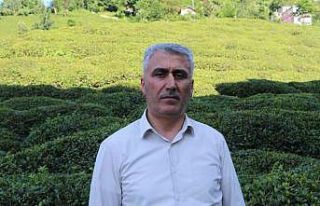 Birinci sürgünde çay üreticisinin tercihi özel...