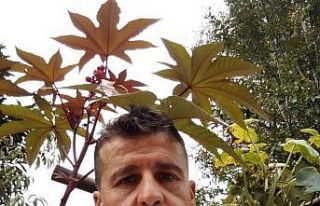 Bisikletle işe giderken hayatını kaybetti