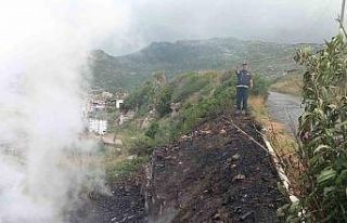 Bitki örtüsü yangını, büyümeden söndürüldü