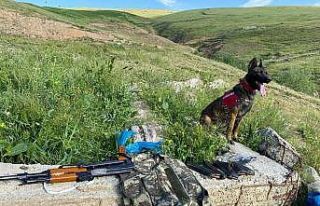 Bitlis merkezli silah kaçakçılığı operasyonu