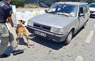 Bodrum’da 48 saatte 50 bin araç girdi