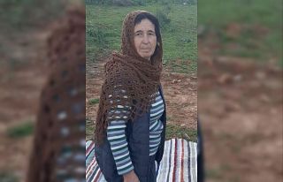 Bodrum’da kayıp olarak aranan kadın su sarnıcında...