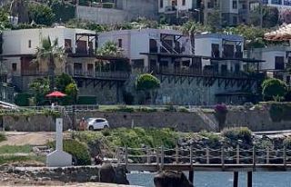 Bodrum’da sahili domuzlar bastı, o anlar kameralara...