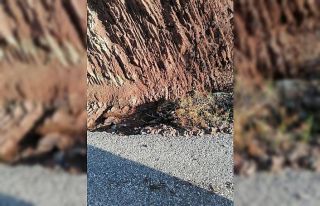 Boğaçayı’ndaki renk değişiminin nedeni toprak...