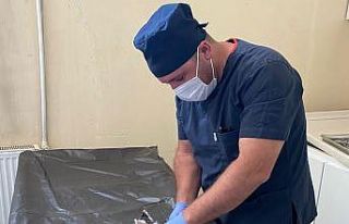 Boğazına kemik takılan kedi kurtarıldı