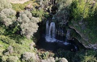 Bozkırın saklı cenneti görenleri mest ediyor
