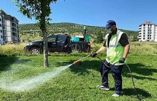 Bozüyük’te haşere mücadelesi kene ilaçlaması...