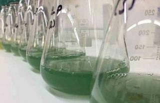 BTÜ’lü araştırmacılar o hastalığa çare oluyor
