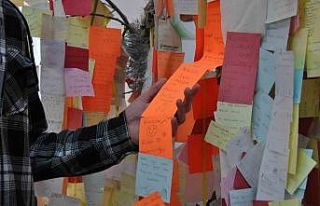 Bu ağaç müşterilerin bıraktığı notlarla yeşeriyor