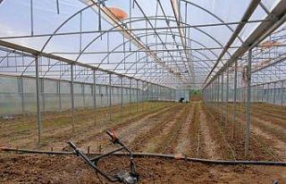 Bu bölümde iş garantisi var