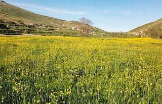 Bu manzarayı görebilmek için 10 gün kaldı