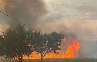 Buğday tarlasında çıkan yangın imece usulüyle...