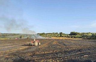 Buğday Tarlasında Çıkan Yangın Korkuttu