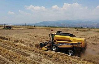 Buğday üreticileri hasat için zamanla yarışıyor