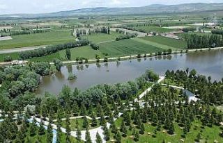 Bünyesinde kokulu bitkilerin olduğu Millet Bahçesi...