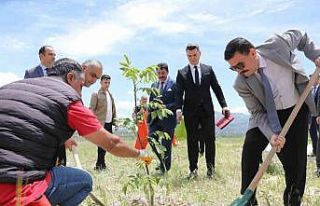 Burdur’da yeni cezaevi kampüsünde fidan dikim...