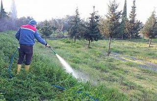 Burhaniye’de Mezarlıklar bayrama hazırlanıyor