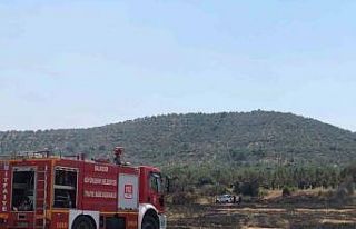 Burhaniye’de otluk alanda yangın