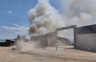 Bursa’da geri dönüşüm tesisinde korkutan yangın