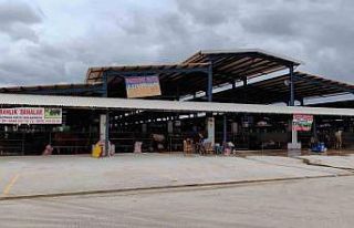 Bursa’da şap hastalığı kontrol altına alındı