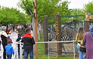 Büyükşehir Hayvanat Bahçesi Kurban Bayramı’nda...