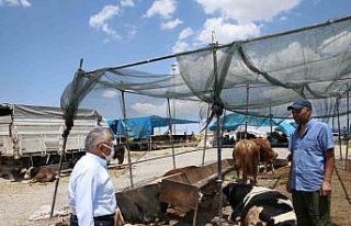 Büyükşehir kurban satış ve kesim yerlerinde tüm...