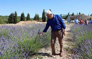 Büyükşehir Lavanta bahçesi ziyarete açılıyor