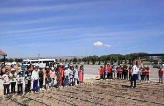 Büyükşehir’in Doğal Ürünler Bahçesi, minikleri...