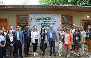 Büyükşehir’in ev sahipliğinde Türkiye’de...