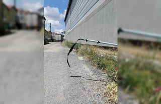 Çalınan telefon ve internet kabloları esnafı iletişimsiz...